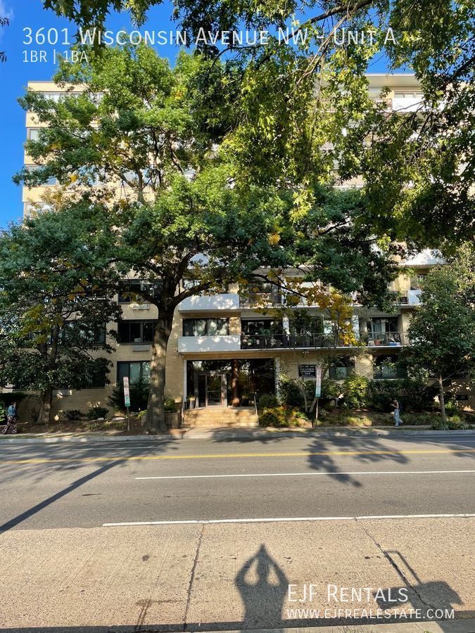 Spacious Cathedral Heights One Bedroom W/Stunning Rooftop Views, All Energy Utilities Included! property image