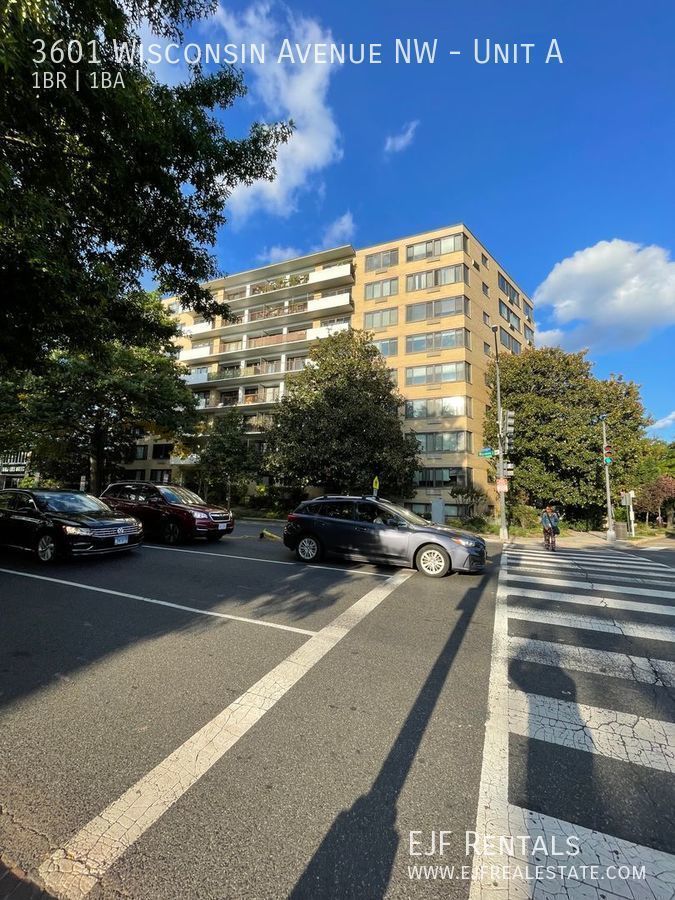 Spacious Cathedral Heights One Bedroom W/Stunning Rooftop Views, All Energy Utilities Included! property image