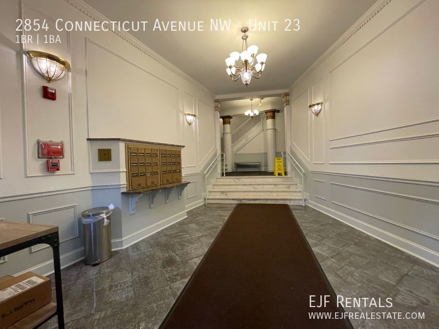 Bright & Sunny Large One Bedroom With Vaulted Ceilings, Modern Updates W/Parking On Connecticut Ave! property image