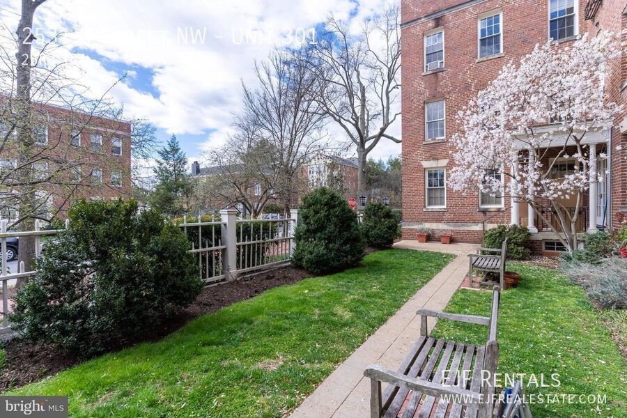 Top Floor Georgetown Two Bedroom in Amazing Location! property image