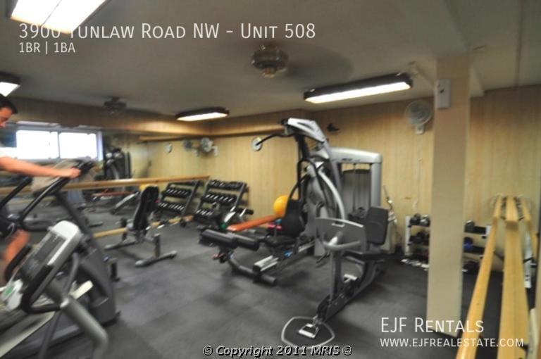 Massive One Bedroom One Bath in Glover Park with All Utilities Included and Parking! property image