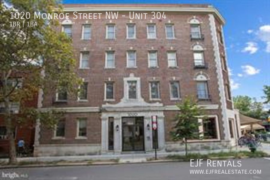 Columbia Heights Bright & Sunny One Bedroom W/Washer/Dryer In Unit, Roof Top, Pets Welcomed! property image