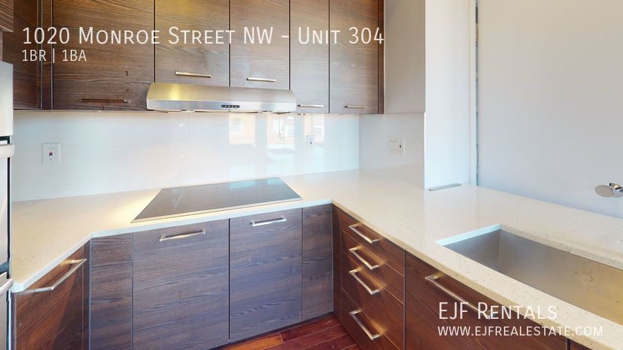 Columbia Heights Bright & Sunny One Bedroom W/Washer/Dryer In Unit, Roof Top, Pets Welcomed! property image